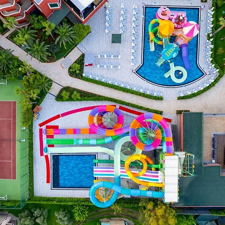 Delphin Deluxe Okurcalar