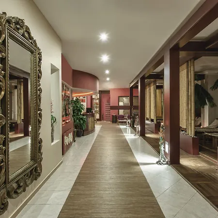 Delphin Deluxe Okurcalar