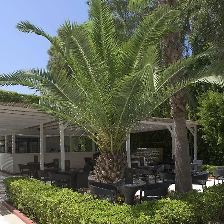 Delphin Deluxe Okurcalar